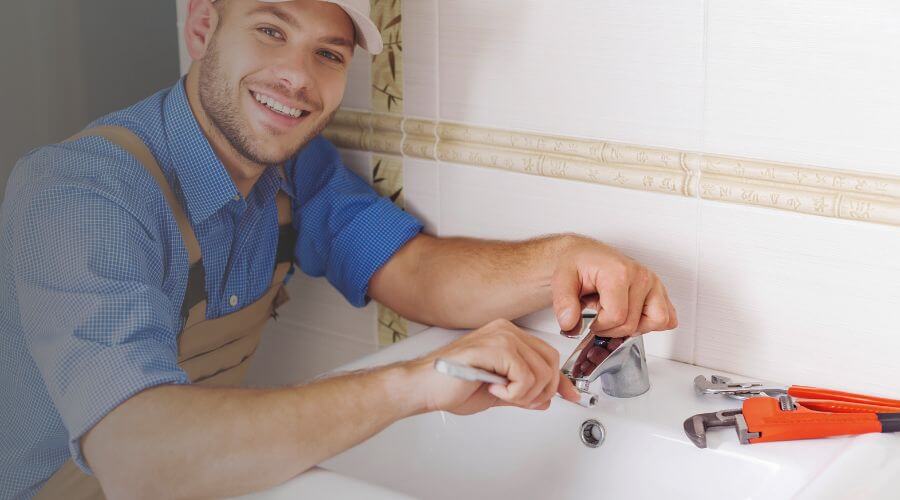 Professional Leak Detection Services services in Van Dyne, WI